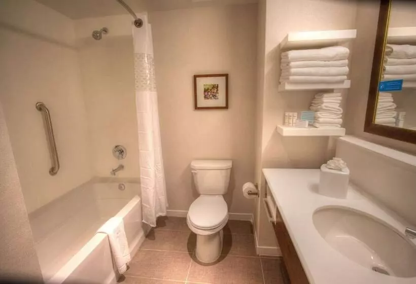 2ダブルベッドのスタンダードルーム, Hampton Inn & Suites Braselton