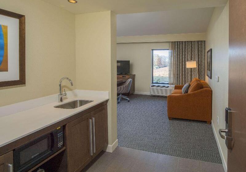 جناح سرير كينج, Hampton Inn & Suites Braselton