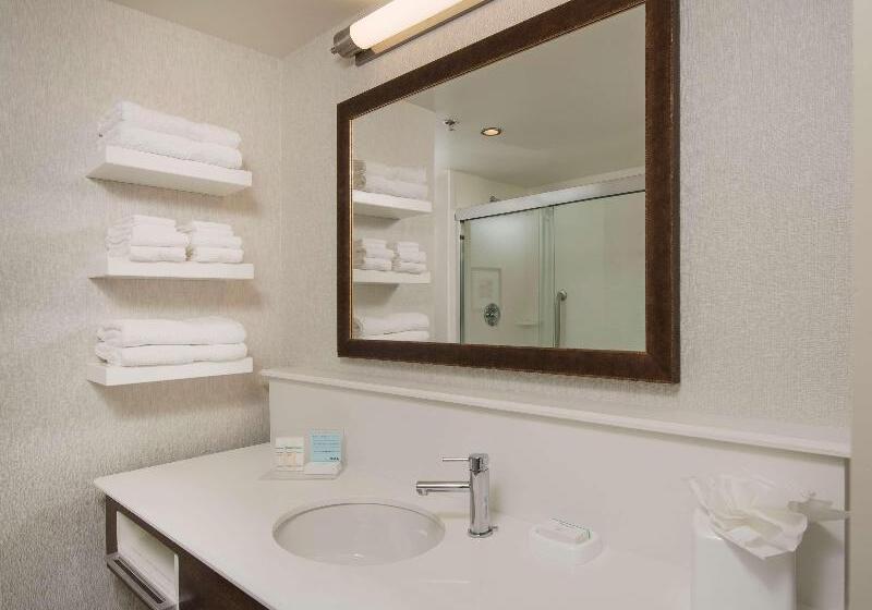 جناح ذو إطلالة, Hampton Inn & Suites Braselton