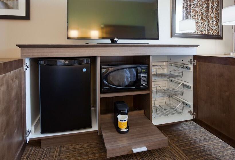 غرفة قياسية لذوى الاحتياجات الخاصة, Hampton Inn Minneapolis Roseville