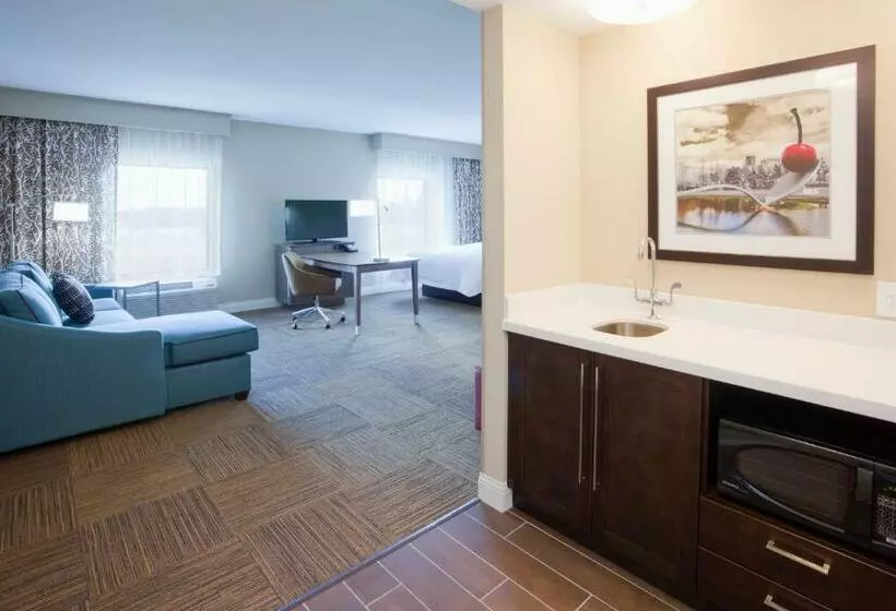 スイート, Hampton Inn Minneapolis Roseville