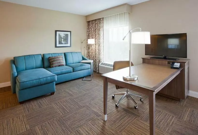 スイート, Hampton Inn Minneapolis Roseville