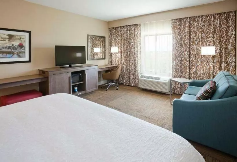 キングサイズベッドのデラックスルーム, Hampton Inn Minneapolis Roseville