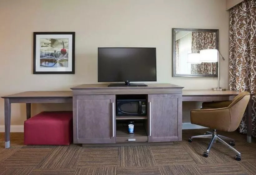 キングサイズベッドのデラックスルーム, Hampton Inn Minneapolis Roseville