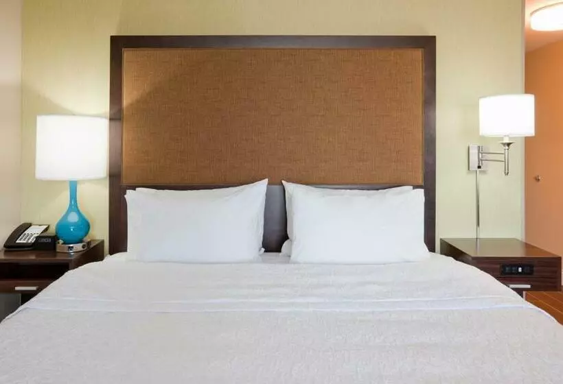 キングサイズベッドのスタンダードルーム, Hampton Inn Minneapolis Roseville