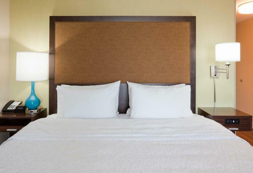 غرفة ديلوكس سرير كينج, Hampton Inn Minneapolis Roseville