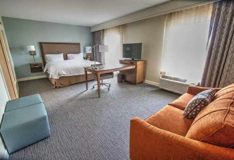 キングサイズベッドのスイートルーム, Hampton Inn & Suites Braselton