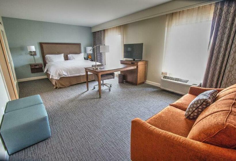Люкс с Видом, Hampton Inn & Suites Braselton