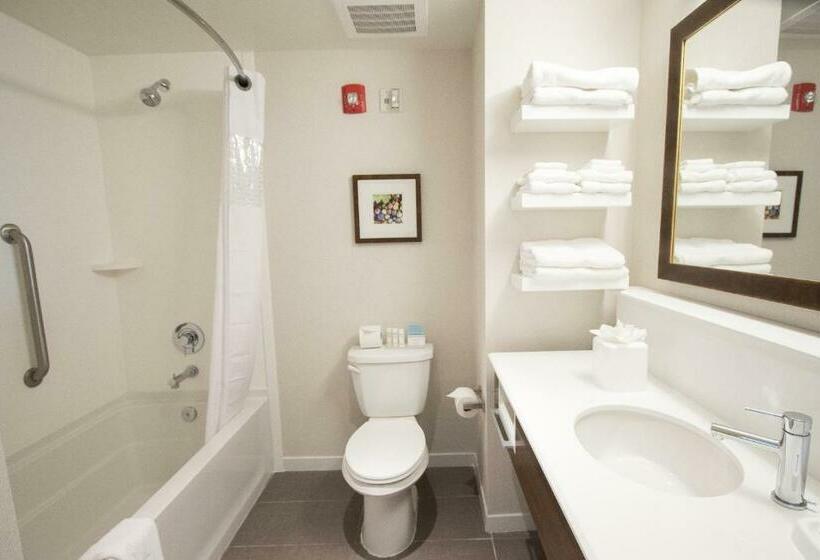 Люкс Кровать Кинг, Hampton Inn & Suites Braselton