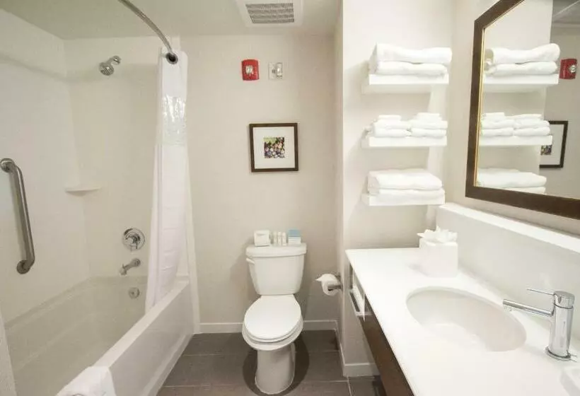 キングサイズベッドのスイートルーム, Hampton Inn & Suites Braselton