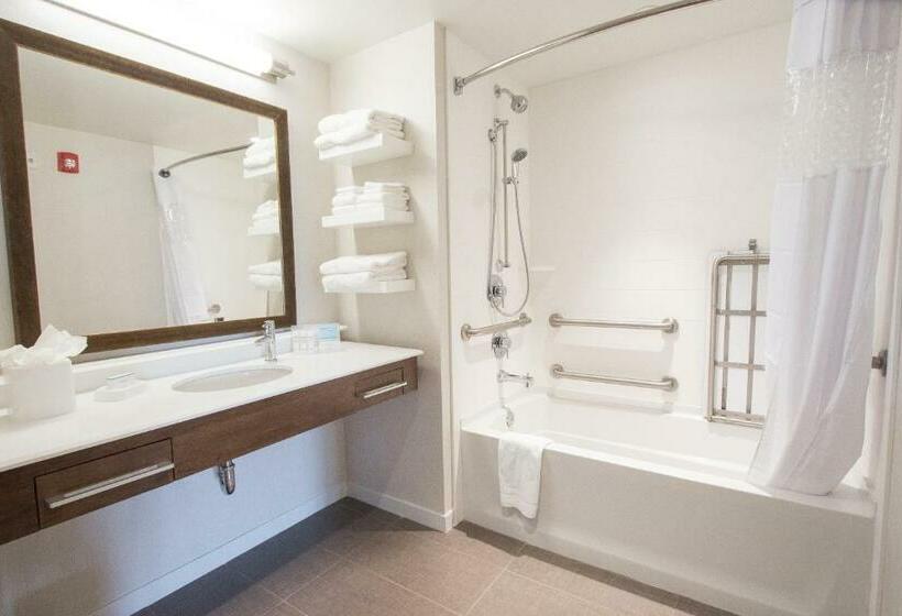 جناح ذو إطلالة, Hampton Inn & Suites Braselton