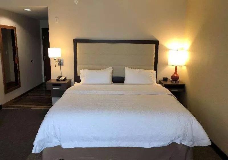 キングサイズベッドのスタンダードルーム, Hampton Inn & Suites Ponca City