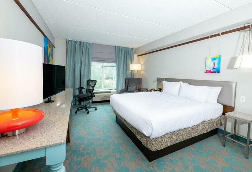 带大床的标准间, Hilton Garden Inn Asheville Downtown