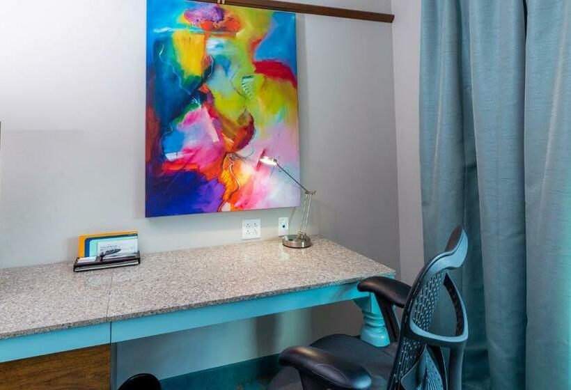 带大床的标准间, Hilton Garden Inn Asheville Downtown