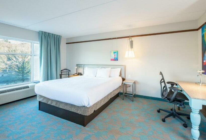 带大床的标准间, Hilton Garden Inn Asheville Downtown