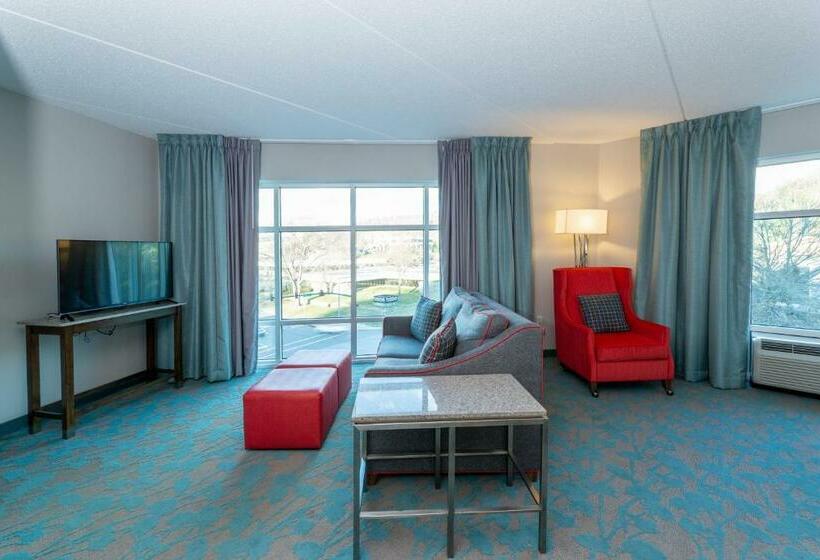 带大床的标准间, Hilton Garden Inn Asheville Downtown