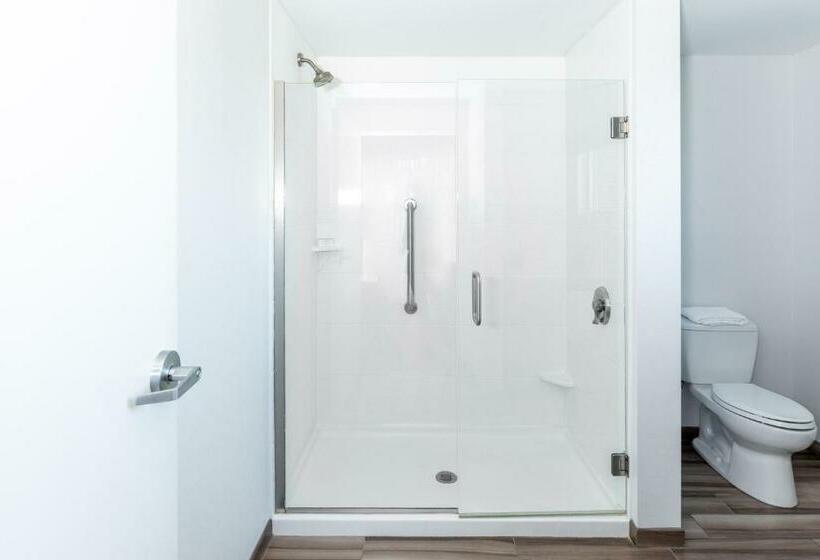 带大床的标准间, Hilton Garden Inn Asheville Downtown