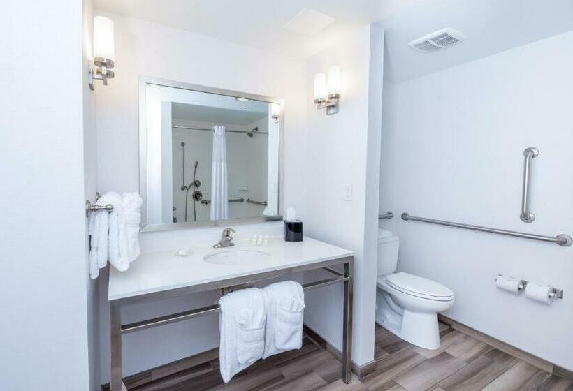 适合残疾人士使用的带超级大床的标准间, Hilton Garden Inn Asheville Downtown