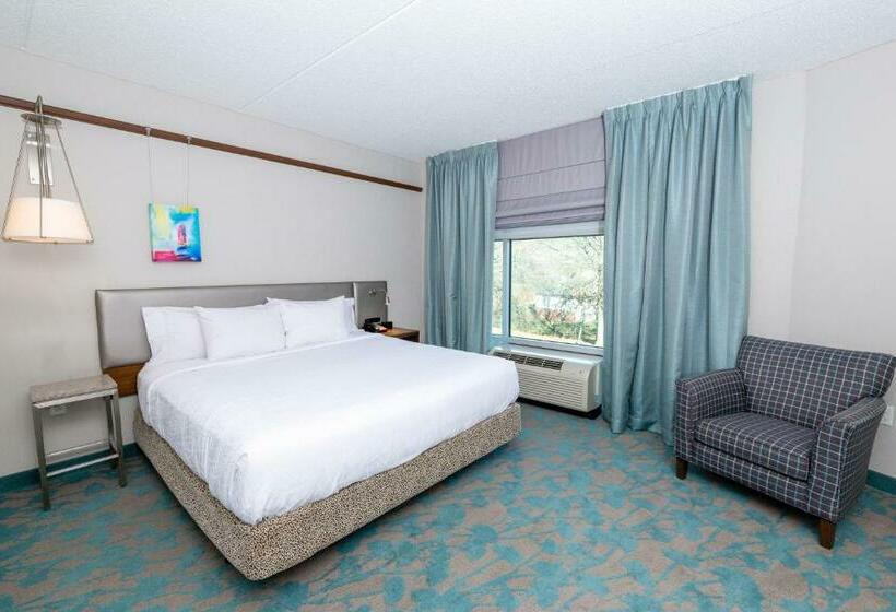 小型套房, Hilton Garden Inn Asheville Downtown