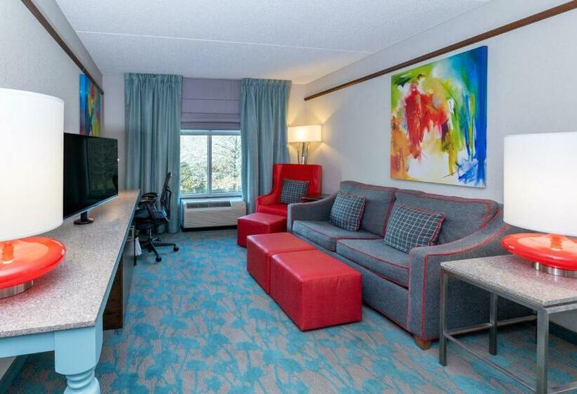 小型套房, Hilton Garden Inn Asheville Downtown