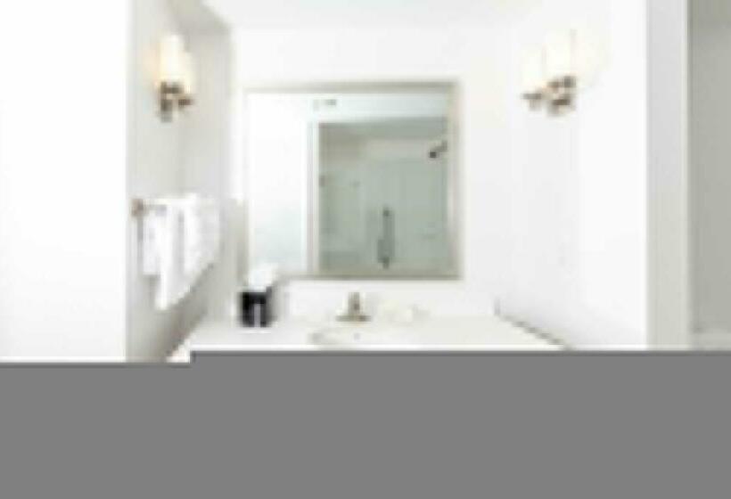 适合残疾人士使用的带超级大床的标准间, Hilton Garden Inn Asheville Downtown