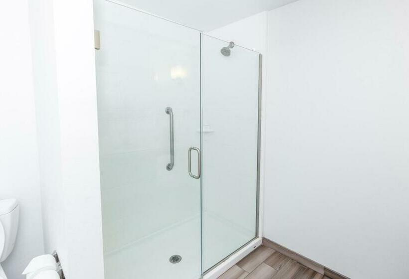 带大床的豪华间, Hilton Garden Inn Asheville Downtown