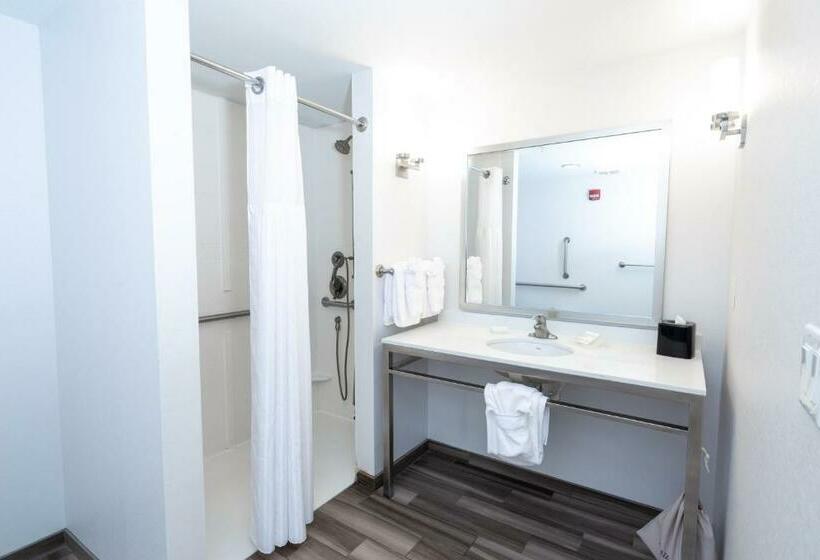 适合残疾人士使用的带超级大床的标准间, Hilton Garden Inn Asheville Downtown