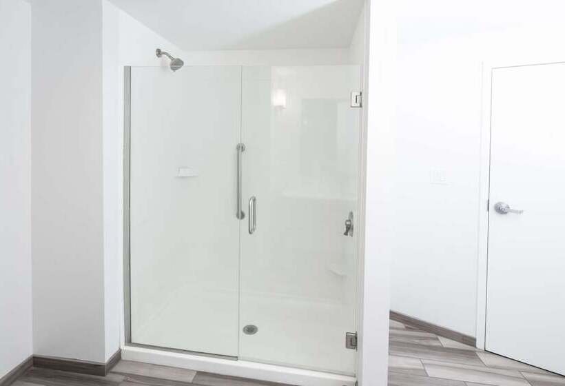 小型套房, Hilton Garden Inn Asheville Downtown