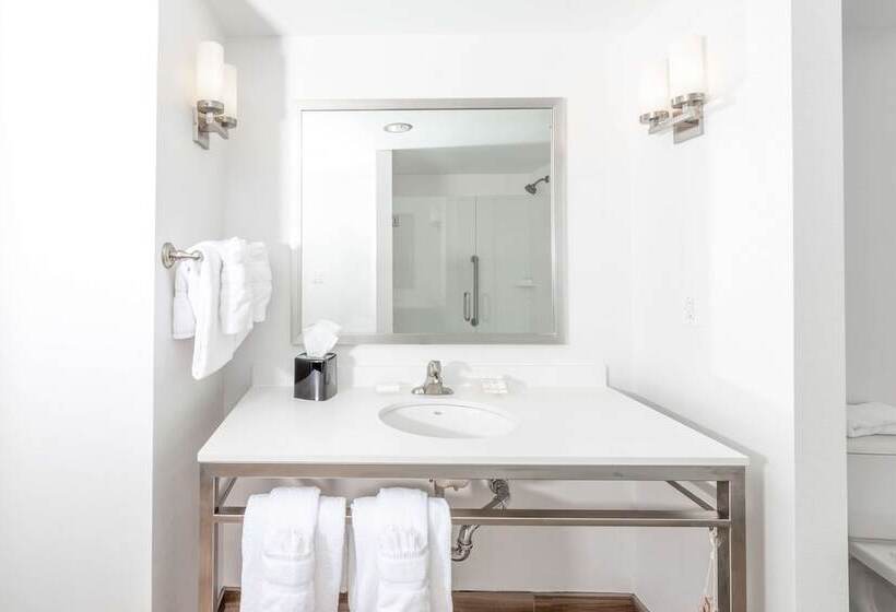 小型套房, Hilton Garden Inn Asheville Downtown