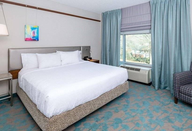 小型套房, Hilton Garden Inn Asheville Downtown