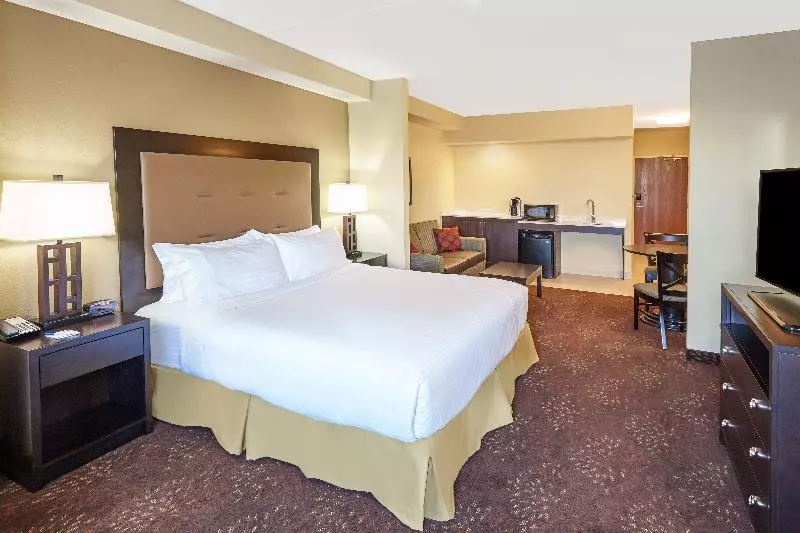 キングサイズベッドのスイートルーム, Holiday Inn Express & Suites Sandusky, An Ihg