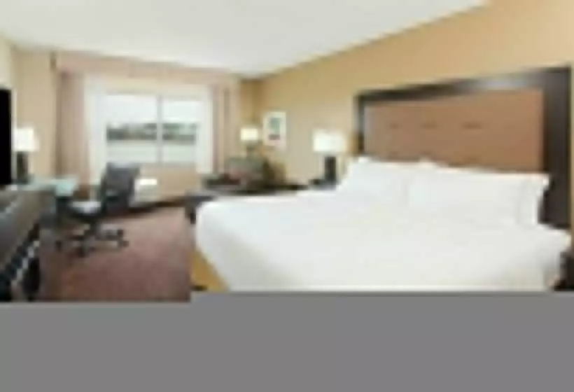 キングサイズベッドのスタンダードルーム, Holiday Inn Express & Suites Sandusky, An Ihg