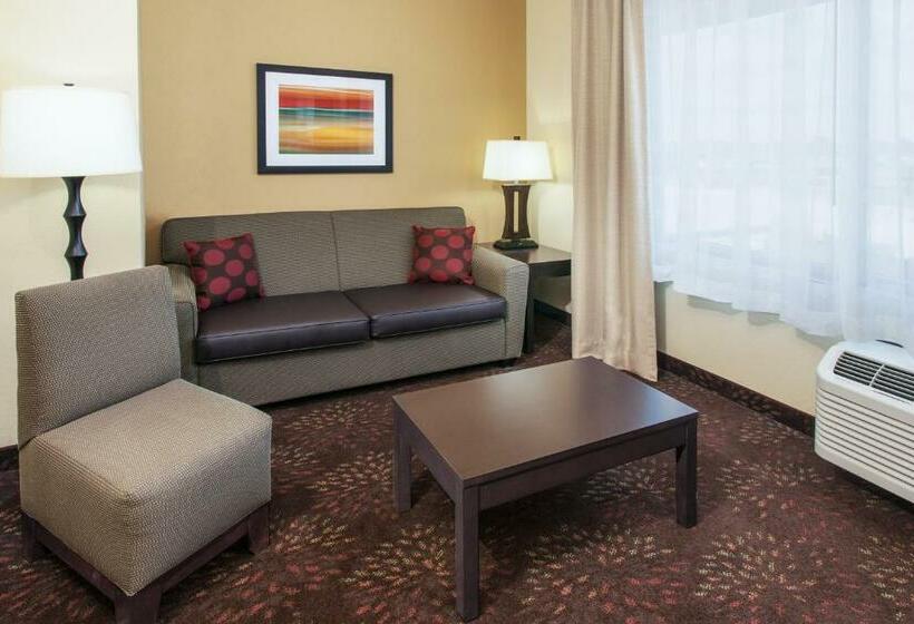 اتاق استاندارد, Holiday Inn Express & Suites Sandusky, An Ihg