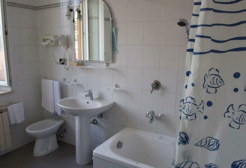 スタンダードルーム, Roma