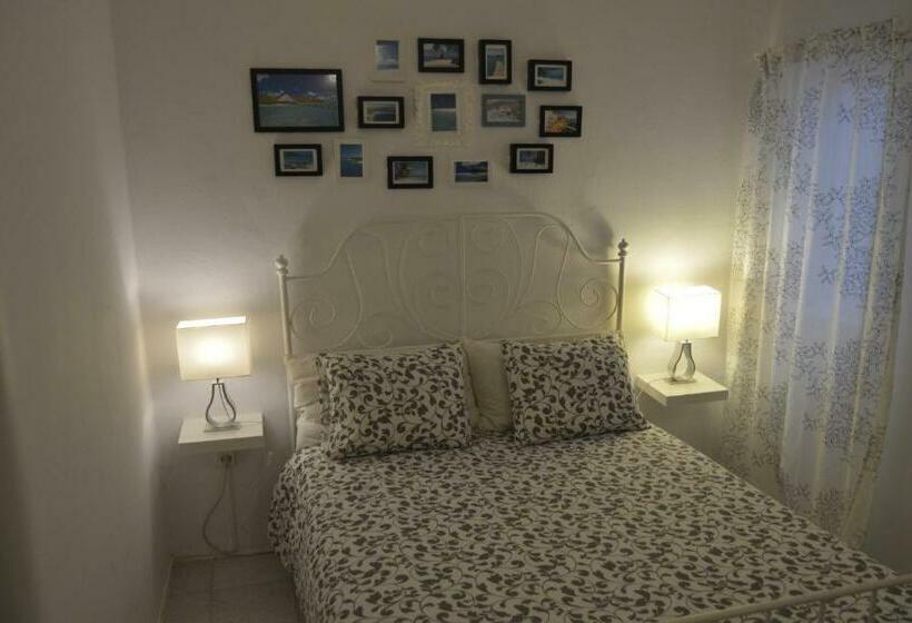 غرفة قياسية, Little Surf House Hostel