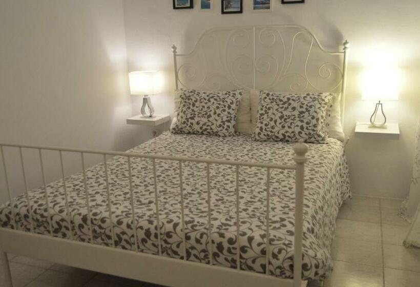 غرفة قياسية, Little Surf House Hostel