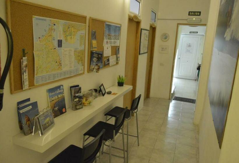 غرفة قياسية, Little Surf House Hostel