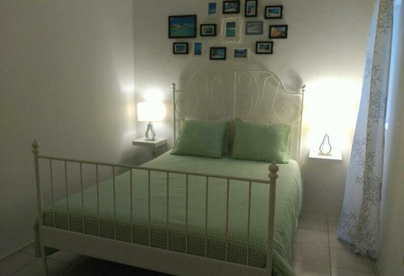 غرفة قياسية, Little Surf House Hostel