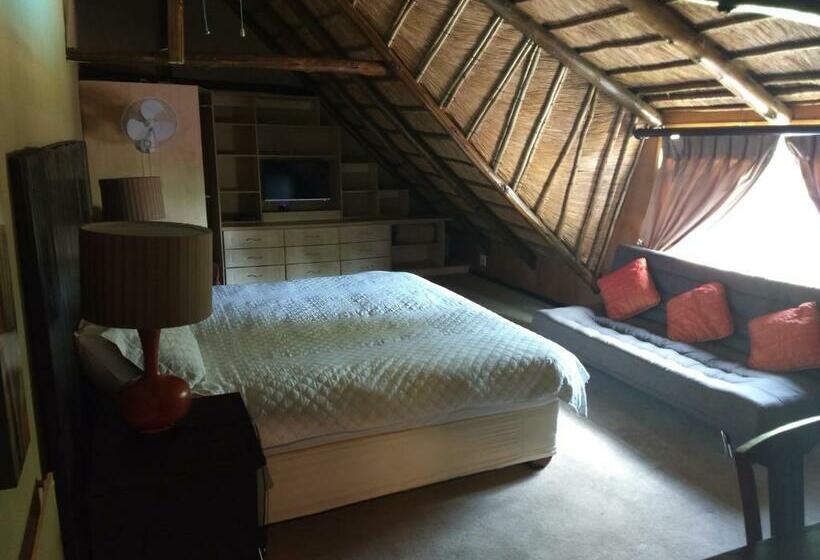 اتاق سوپریور با چشمانداز باغ, Villa Schreiner Guest House