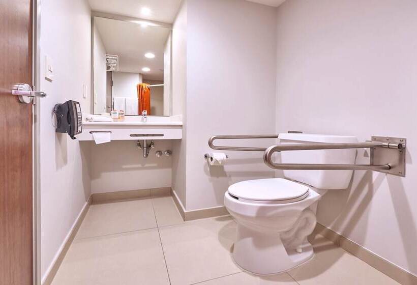 غرفة قياسية, City Express Junior By Marriott San Luis Potosi Carranza