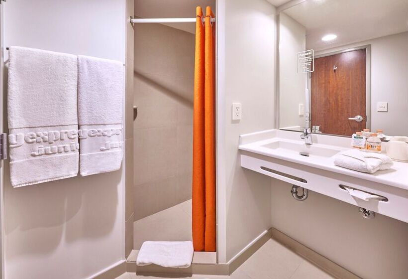 غرفة قياسية, City Express Junior By Marriott San Luis Potosi Carranza