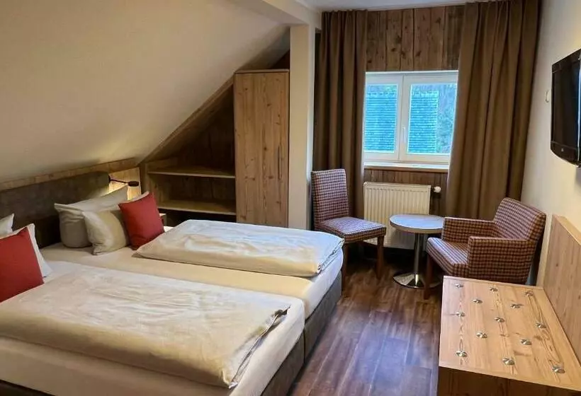Basic-huone, Dammschenke Gasthof &
