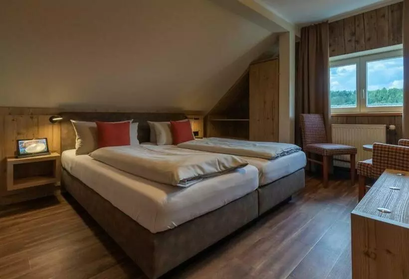 Basic-huone, Dammschenke Gasthof &