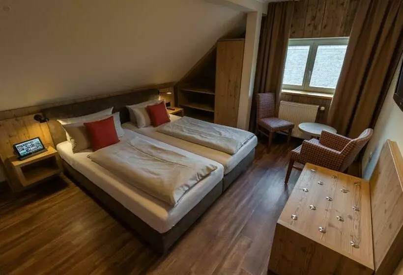 Basic-huone, Dammschenke Gasthof &