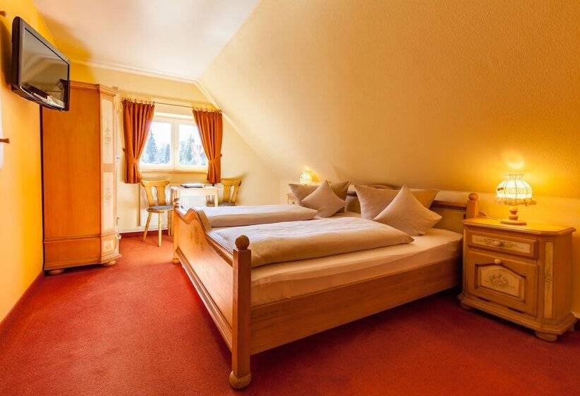 Номер Стандарт, Dammschenke Gasthof &