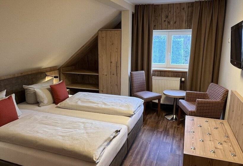 Номер Basic, Dammschenke Gasthof &