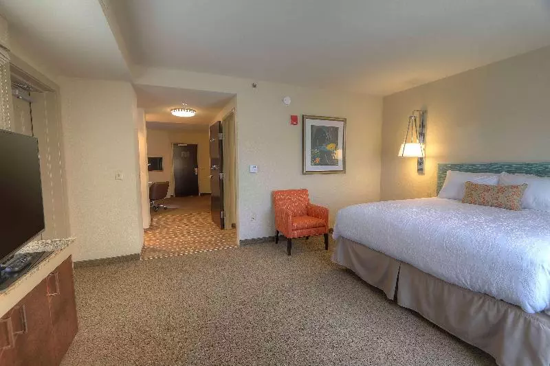 Suite King Bed