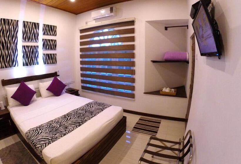 Habitación Deluxe, Winter Villa