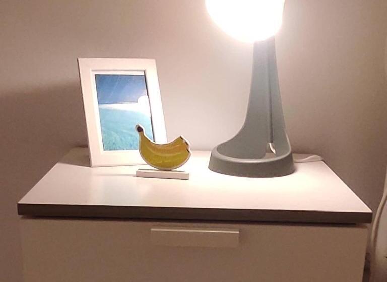 غرفة قياسية, Little Surf House Hostel