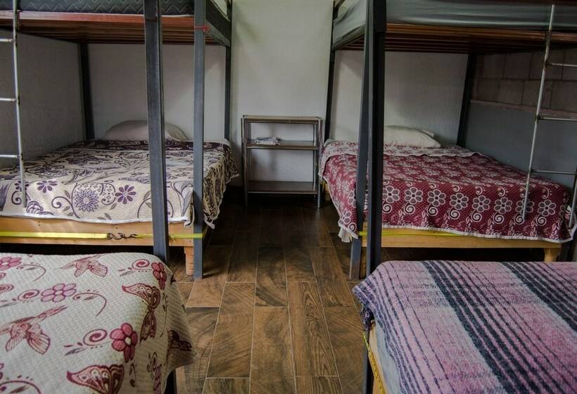 تختخواب در اتاق مشترک, Paqui B&b By Rotamundos